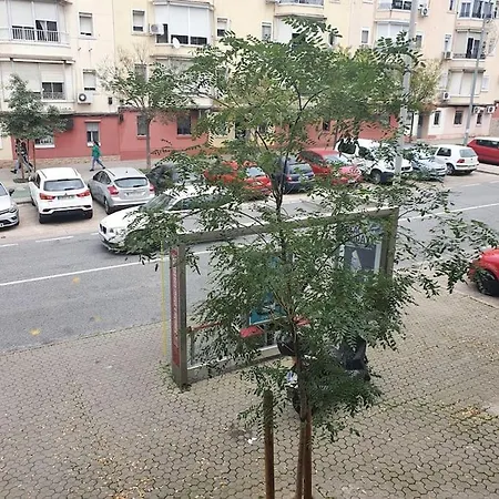Reformado A Estrenar Seville